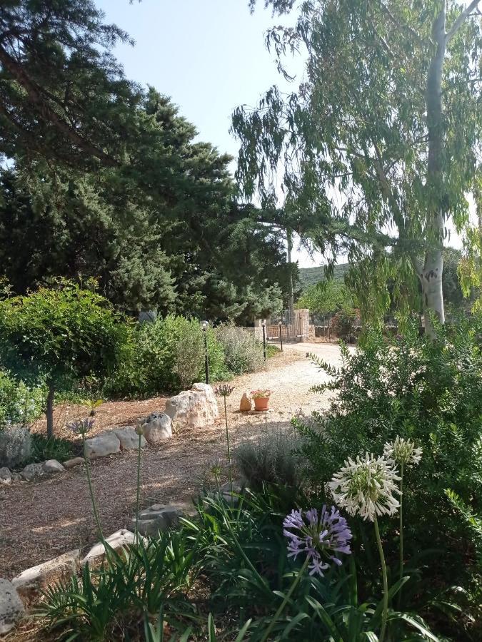 Dimora Dalia - Puglia Mia Apartments Monopoli Bagian luar foto